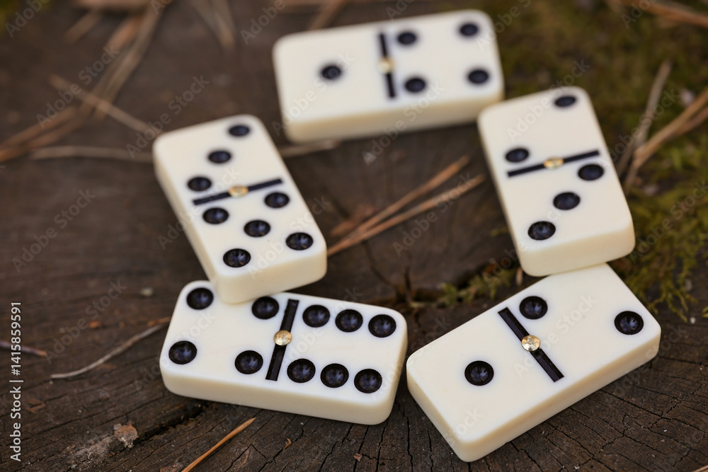 Several White Domino Tiles With Black Dots Arranged Loosely On An Old Wooden Stump Surface With Pine Needles. Classic Board Game Close Up. Several White Domino Tiles With Black Dots Arranged Loosely On An Old Wooden Stump Surface With Pine Needles. Classic Board Game Close Up.