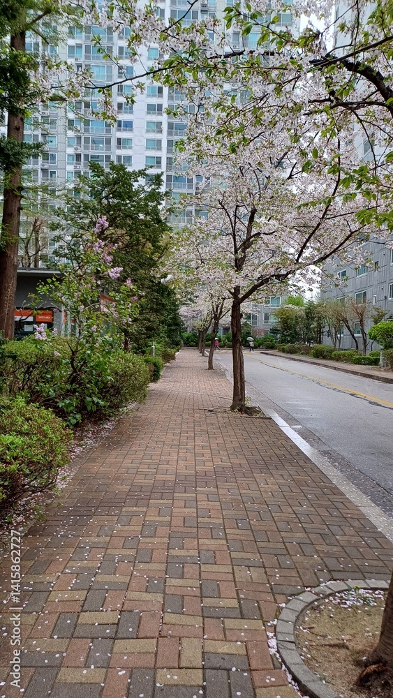 Trees and cherry blossoms