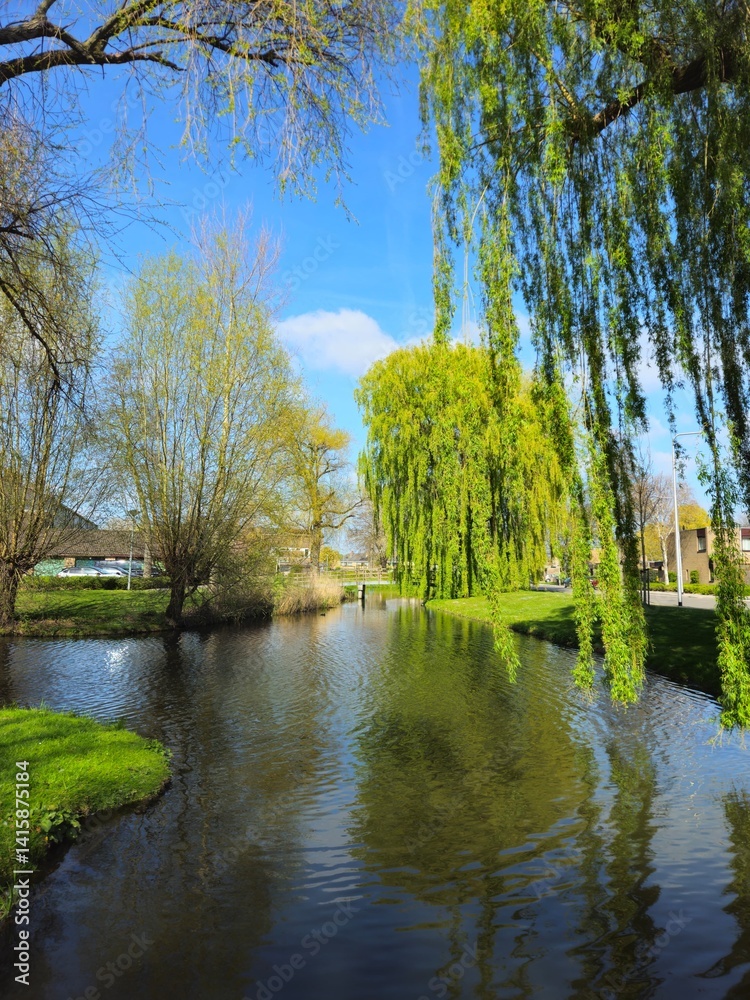 Canal with a gorgeous bright green weeping willow over hanging the canal banks. Vibrant woodland landscape in Spring in a public park. Canal with a gorgeous bright green weeping willow over hanging the canal banks. Vibrant woodland landscape in Spring in a public park.