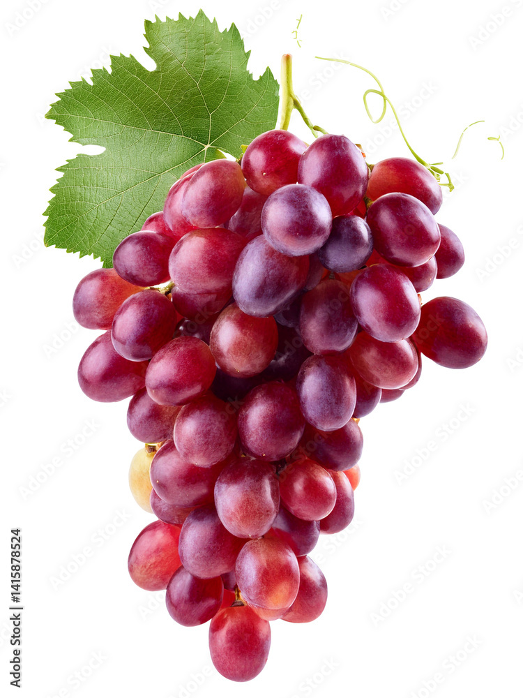 Fototapeta premium Bunch of grapes