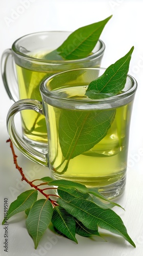 Brewed Herbal Tea Served in Clear Cups With Fresh Leaves and Vibrant Color