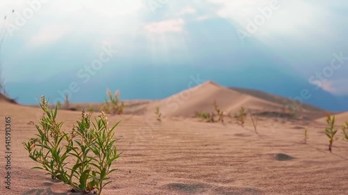 Scenic desert landscape with sand dunes and distant mountains