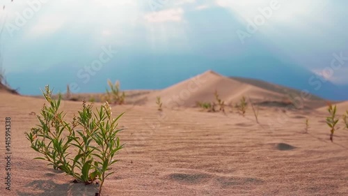 Scenic desert landscape with sand dunes and distant mountains