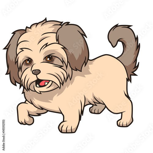 Kleiner, wuscheliger Hund mit niedlichem Gesichtsausdruck.
