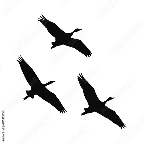 Three Silhouetted Cranes in Flight Wildlife Nature Birds Avian