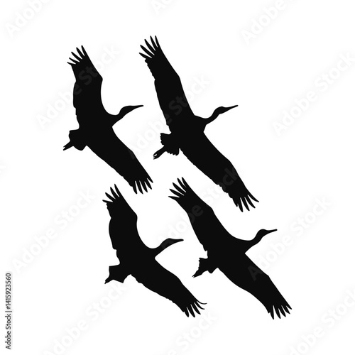Silhouette of Four Cranes in Flight Wildlife Nature Birds Avian