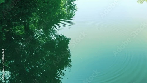 Concentric circles on the water surface formed from a rock thrown to the lake