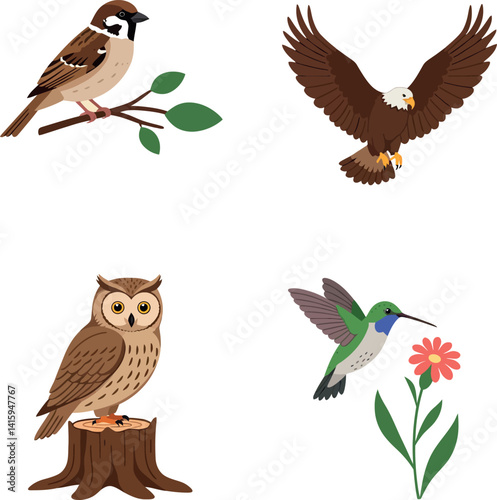 Various bird species including sparrow owl eagle and hummingbird in flat style detailed vector illustration