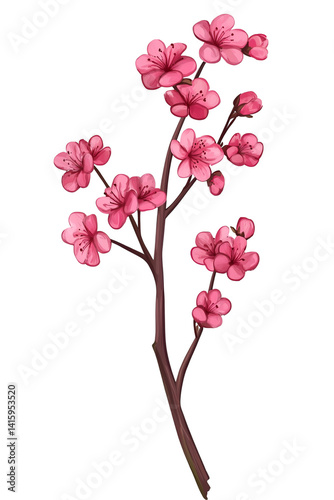 A pink cherry blossom branch, isolated on a transparent background, perfect for spring designs.