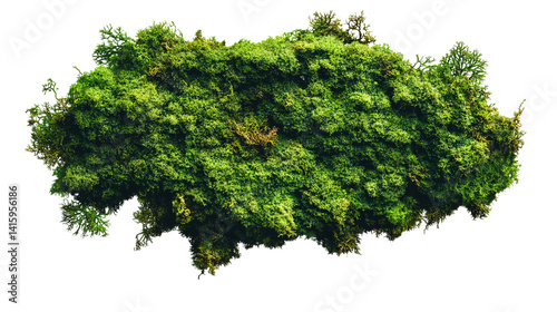 Green moss, isolated on a transparent background, perfect for adding texture to nature-inspired visuals.