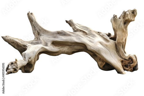 Stunning sea driftwood, bleached and aged, isolated on a transparent background for decorative and artistic uses.