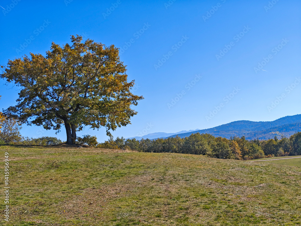 Autumn view of Plana Mountain, Sofia region, Bulgaria