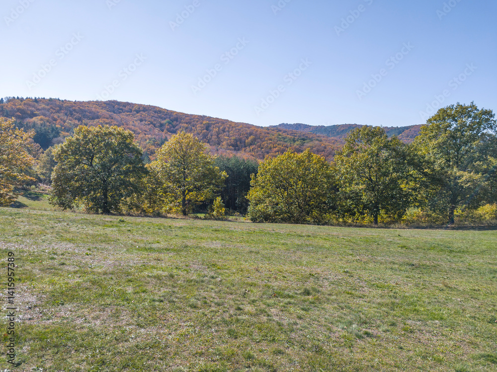 Autumn view of Plana Mountain, Sofia region, Bulgaria