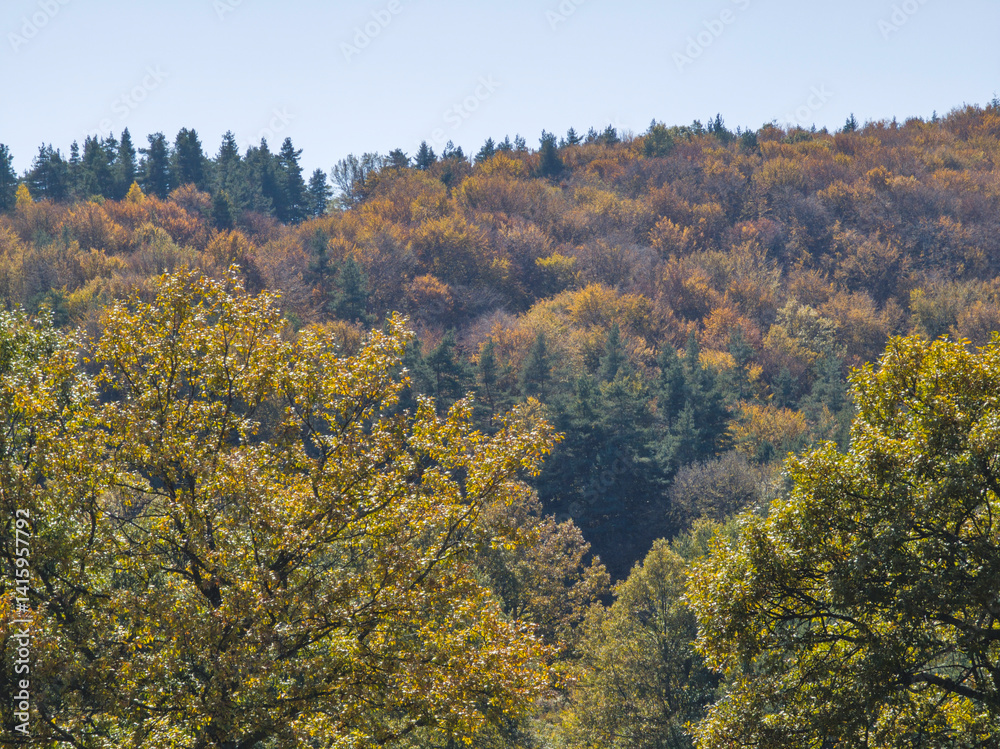 Autumn view of Plana Mountain, Sofia region, Bulgaria