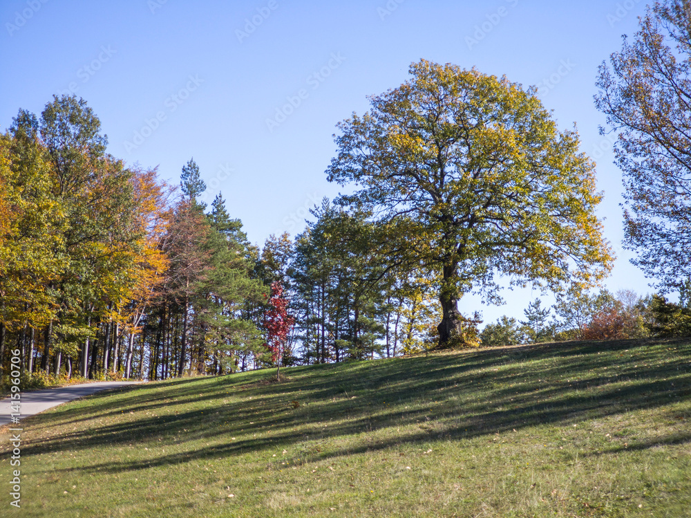 Autumn view of Plana Mountain, Sofia region, Bulgaria