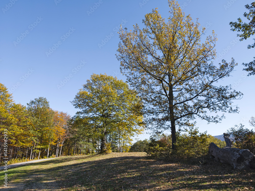 Autumn view of Plana Mountain, Sofia region, Bulgaria