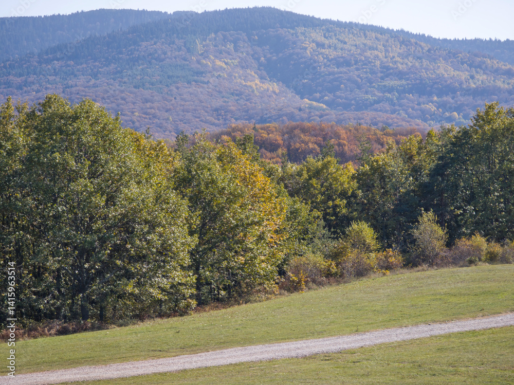Autumn view of Plana Mountain, Sofia region, Bulgaria