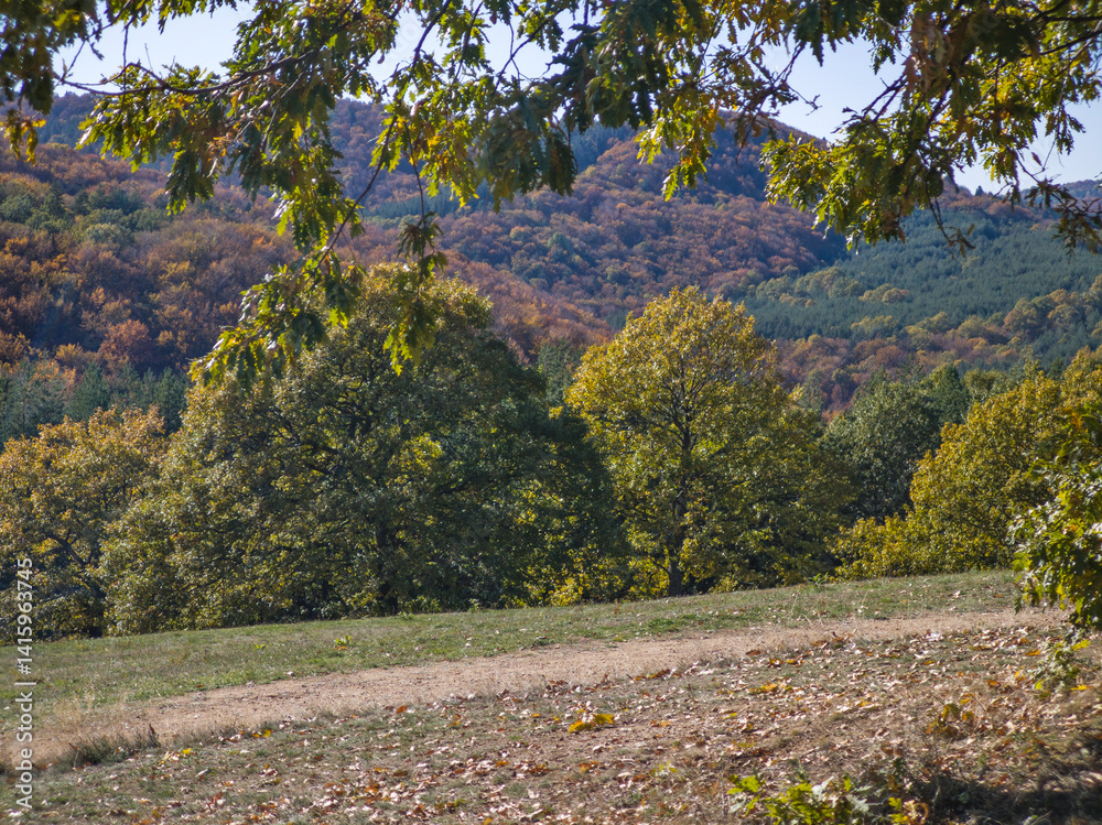 Autumn view of Plana Mountain, Sofia region, Bulgaria