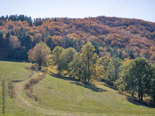 Obraz na płótnie Autumn view of Plana Mountain, Sofia region, Bulgaria w salonie