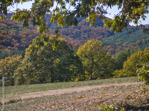 Obraz na płótnie Autumn view of Plana Mountain, Sofia region, Bulgaria w salonie