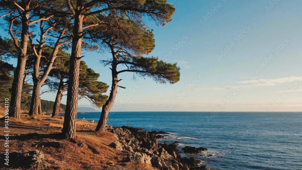 A beautiful view of the ocean with a few trees in the background. The trees are tall and the ocean is calm A beautiful view of the ocean with a few trees in the background. The trees are tall and the ocean is calm