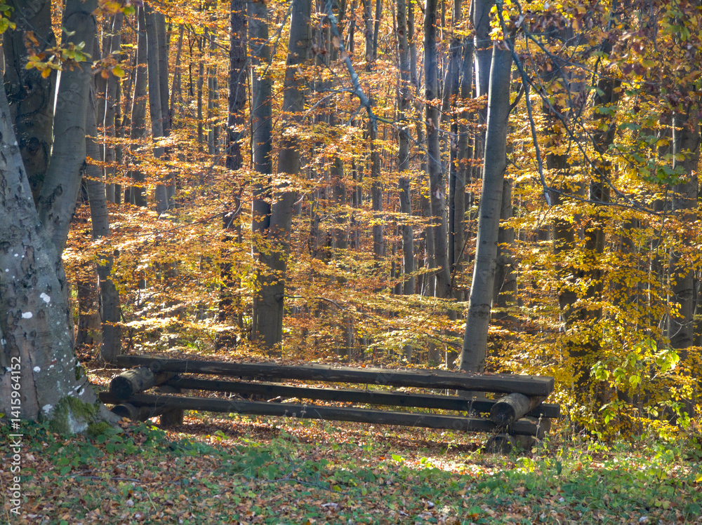 Autumn view of Plana Mountain, Sofia region, Bulgaria
