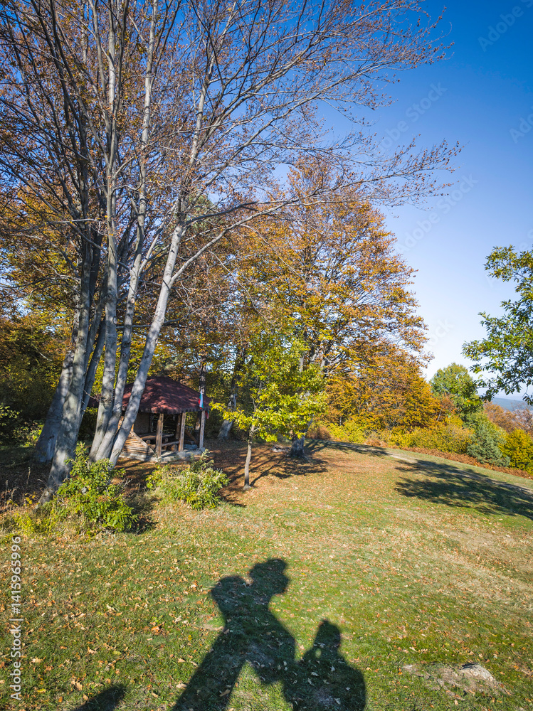 Autumn view of Plana Mountain, Sofia region, Bulgaria
