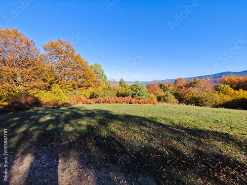 Obraz na płótnie Autumn view of Plana Mountain, Sofia region, Bulgaria w salonie