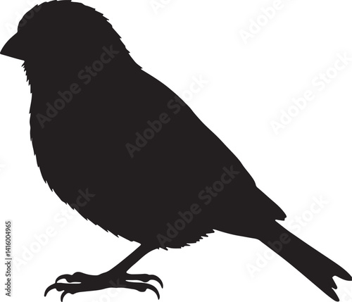 Canary Silhouette – Minimal Vector Illustration on White Background