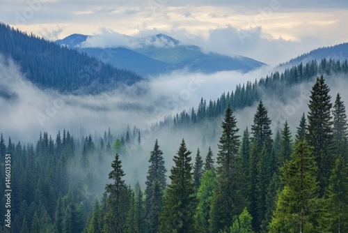 Majestic forest landscape reveals misty mountains and lush greenery, fostering a peaceful retreat into nature's tranquility