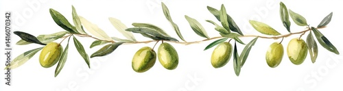 Olive Branch with Fruit