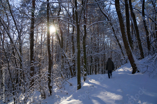 A warm dressed man walking on a narrow path through a snow-covered park at sunset on a winter evening, with the sunlight casting shadows of the trees on the white snow