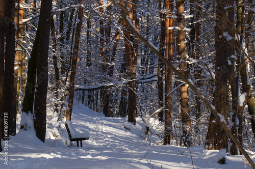 A narrow path through a snow-covered park at sunset on a winter evening, with the sunlight casting shadows of the trees on the white snow