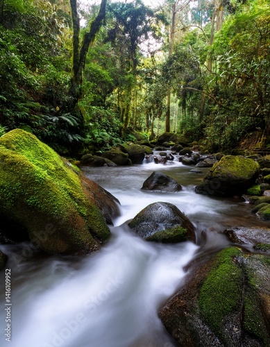 rain forest, long exposure of river 