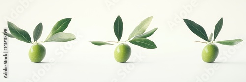 Fresh olives with leaves photo