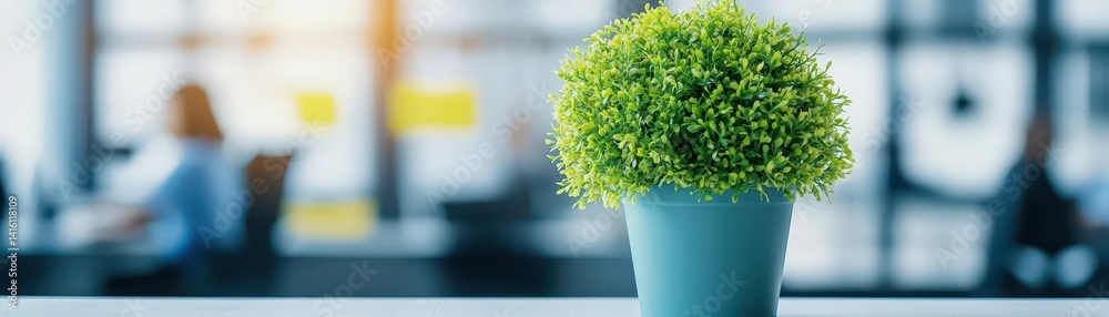 Beautiful blurred minimalist defocused soft background of a light modern office interior with closeup of green potted plant productive workers Beautiful blurred minimalist defocused soft background of a light modern office interior with closeup of green potted plant productive workers