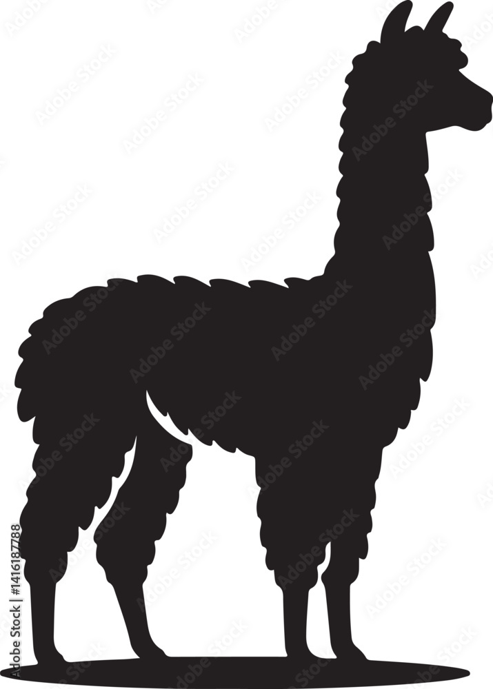 Fototapeta premium Alpaca silhouette and black vector