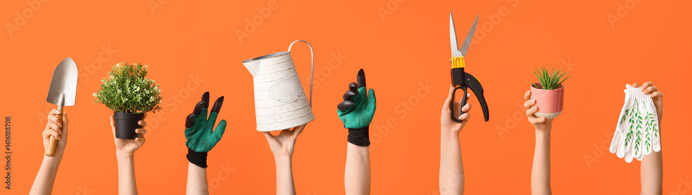 Female hands with gardening tools and plant on color background