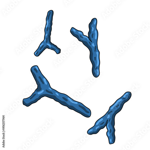 Illustration of bifidobacterium. Good bacteria in the human body. Probiotic micro organisms. vector illustration for medical posters, treatment, or clinics.