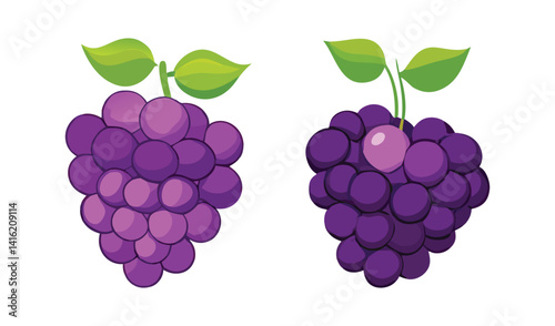 Ripe purple grapes, a sweet and juicy bunch of the healthy fruit with a green leaf from the vine