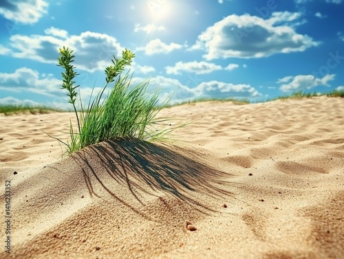 Obraz na płótnie Sunny Beach Dune Landscape Lush Green Grass Emerging from Golden Sand under a Blue Sky w salonie