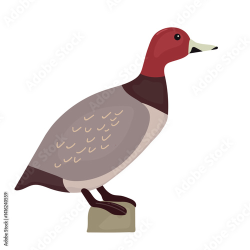 Red head duck icon clipart avatar logotype isolated illustration