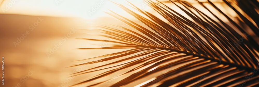 Obraz premium Golden sunlight illuminates a palm leaf in a minimalist composition highlighting the details of nature during the golden hour with blurred background