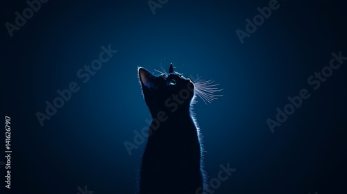 Silhouette of a Black Cat Looking Up, Mystical black cat gazing upwards in the dark.