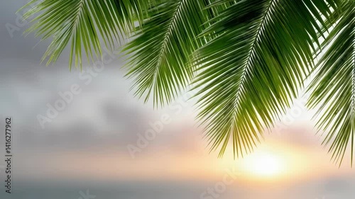 Majestic palm tree silhouetted against a vibrant sunset sky with warm colors and serene atmosphere in background