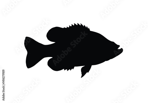 Crappie silhouette. This image shows a crappie fish, also known as bass, perch, panfish, or sunfish, with distinct fins and body details. Vector clipart illustration design.