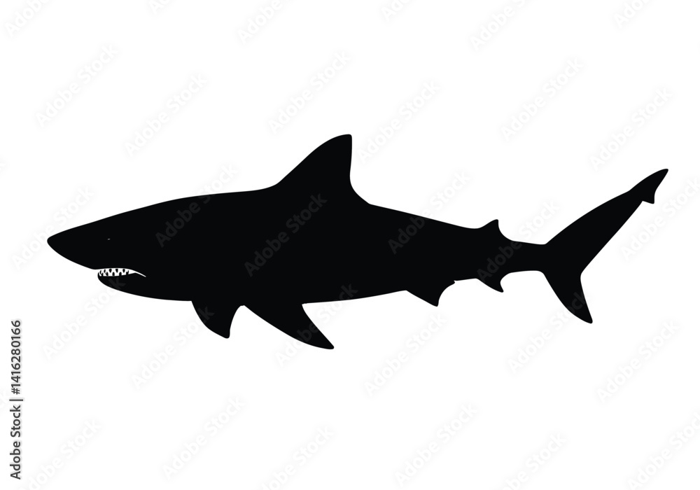 Obraz premium Tiger shark silhouette. This image shows a tiger shark, also referred to as Galeocerdo cuvier, with streamlined fins and a bold body structure. Vector clipart black illustration design.