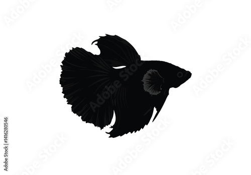 Betta silhouette. This image shows a betta fish, also called Siamese fighting fish, with elaborate fins and tail, depicted in a graceful style. Vector clipart black illustration design.