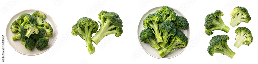 Broccoli on transparent background. Broccoli on transparent background.