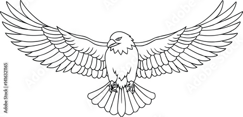 Eagle Outline, Wings Spread, Bird of Prey, Black and White Illustration, Minimalist Design